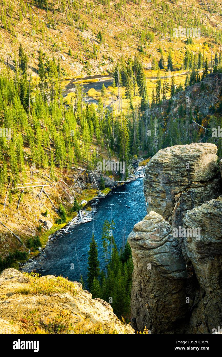 Rivière Yellowstone dans le parc national de Yellowstone. Banque D'Images