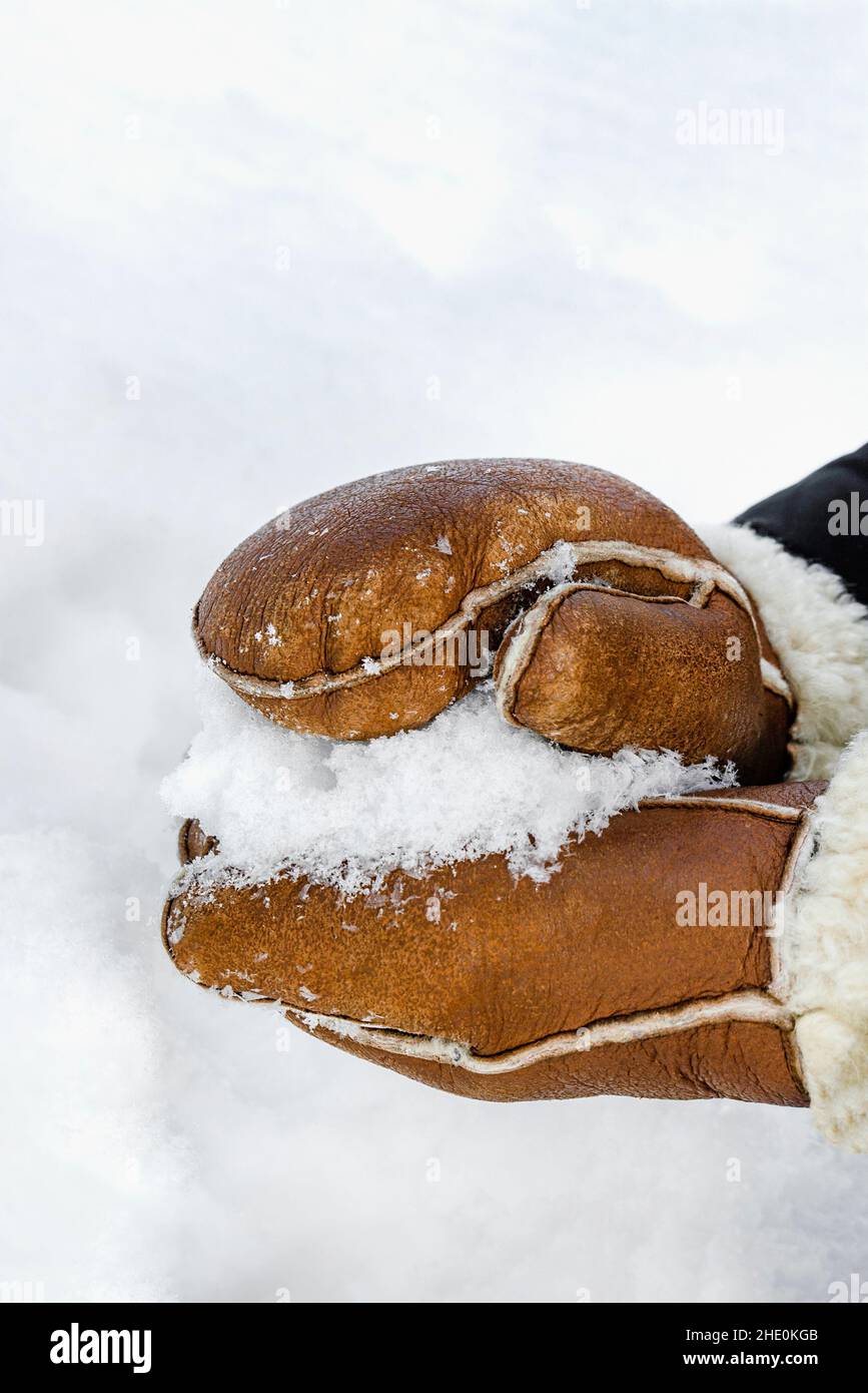 Première neige, faisant des boules de neige dans le parc de près.Les mains des moufles chaudes font de la neige en hiver.Moufles en cuir marron dans la neige en hiver. Banque D'Images
