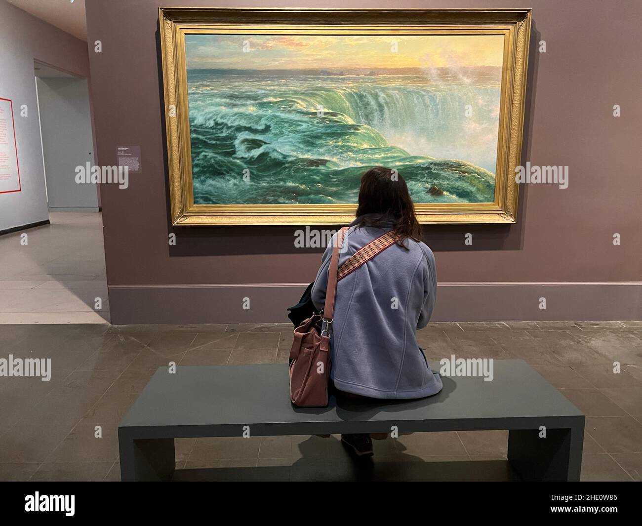 Une femme se détend devant un tableau des célèbres chutes du Niagara en Amérique au Brooklyn Museum de New York.Louis Remy Mignot; Niagra, 1866, huile sur toile. Banque D'Images