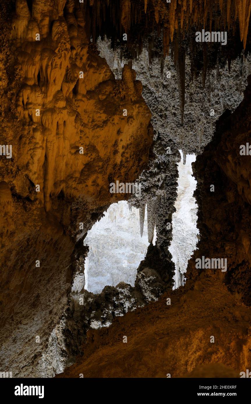 Stalactites in the Big Room, parc national des grottes de Carlsbad, Nouveau-Mexique, États-Unis Banque D'Images
