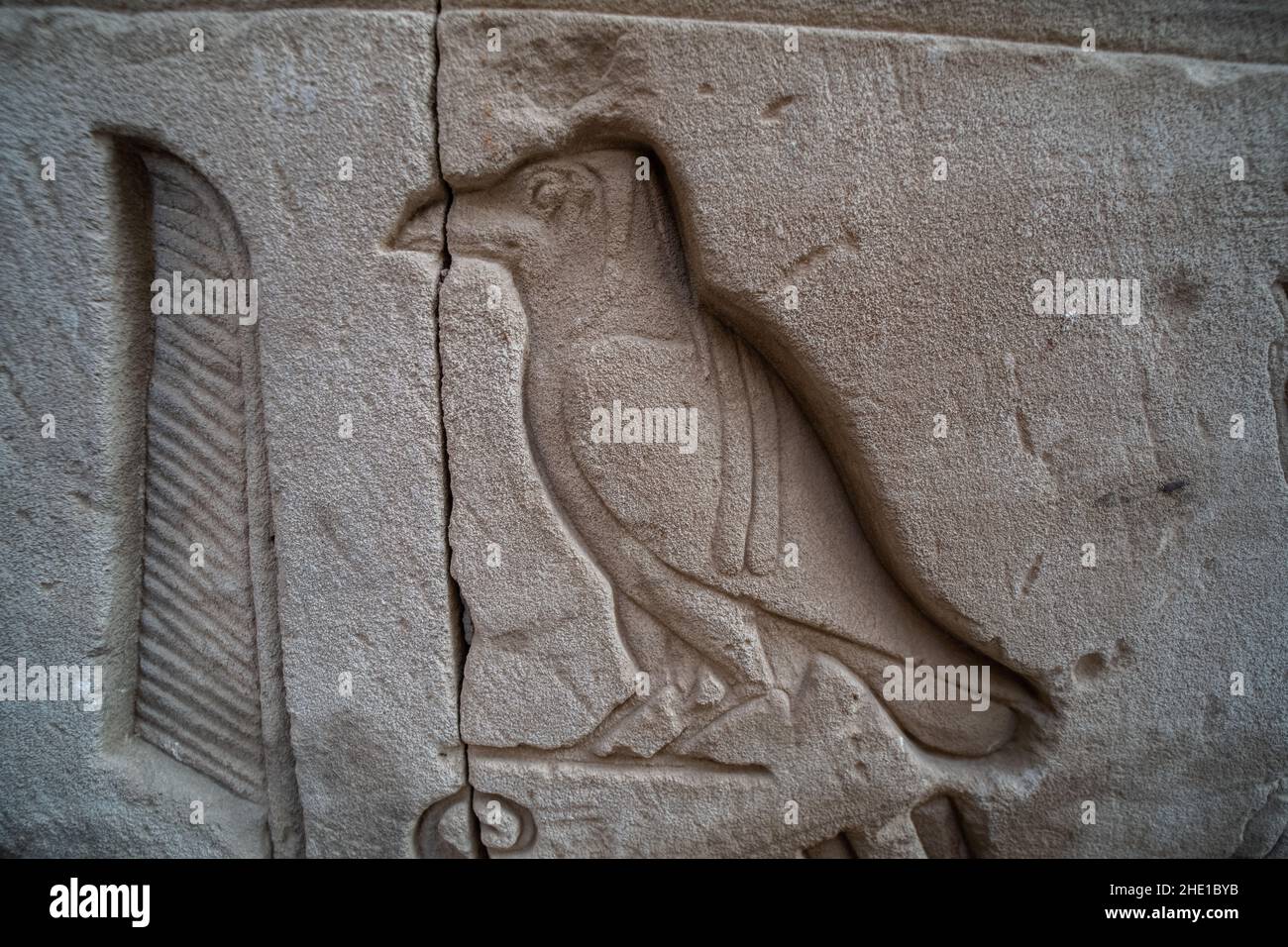 Un ancien hiéroglyphe d'un corvid, d'un corbeau ou d'une corbeau sur le