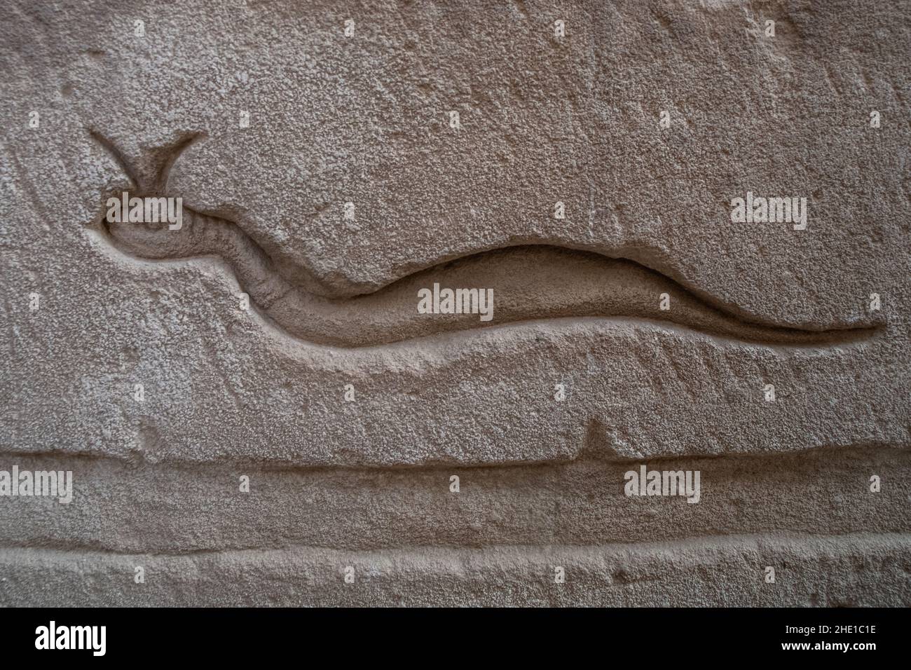 Sculpture égyptienne antique d'une vipère à cornes sur les murs du temple à Edfu, Égypte. Banque D'Images