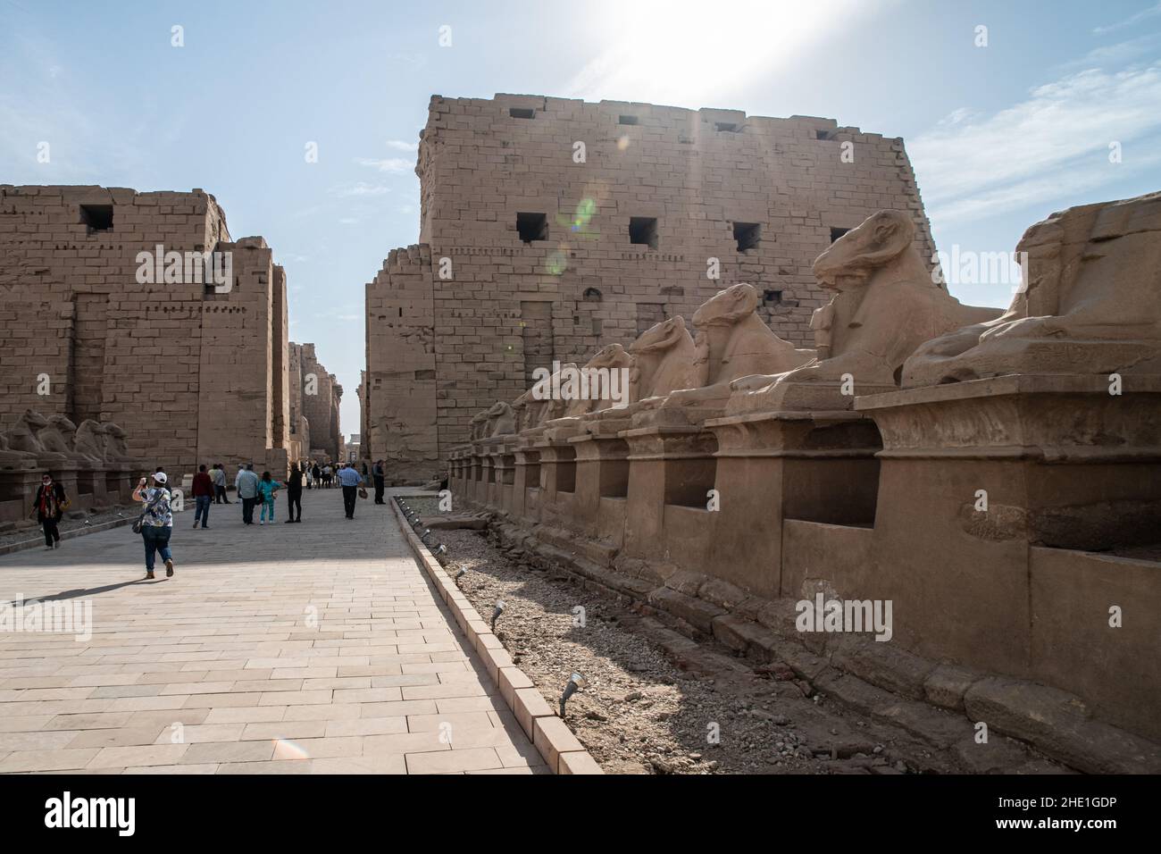 Des sphinxes bordent la route au temple de karnak à Louxor, en Égypte, en Afrique du Nord. Banque D'Images