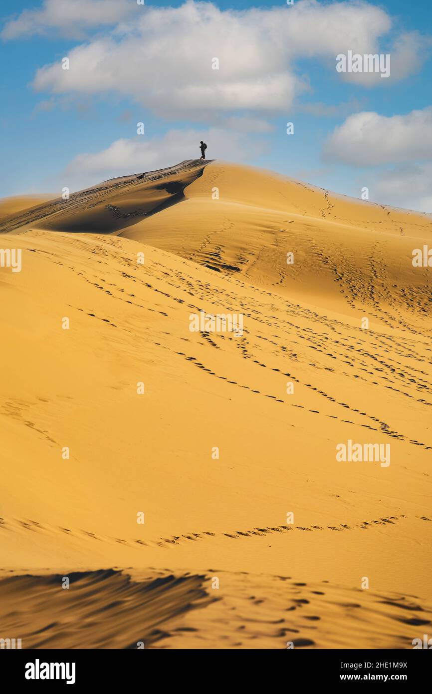 La dune du pyla au ciel bleu, aquitaine, France Banque D'Images