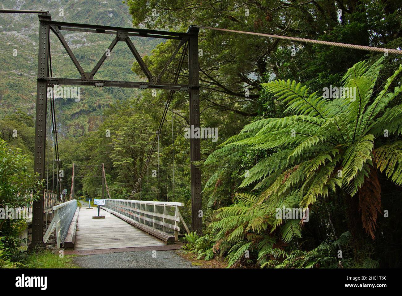 Pont au-dessus de la rivière Tutoko dans le parc national Fiordland à Southland, sur l'île du Sud de la Nouvelle-Zélande Banque D'Images