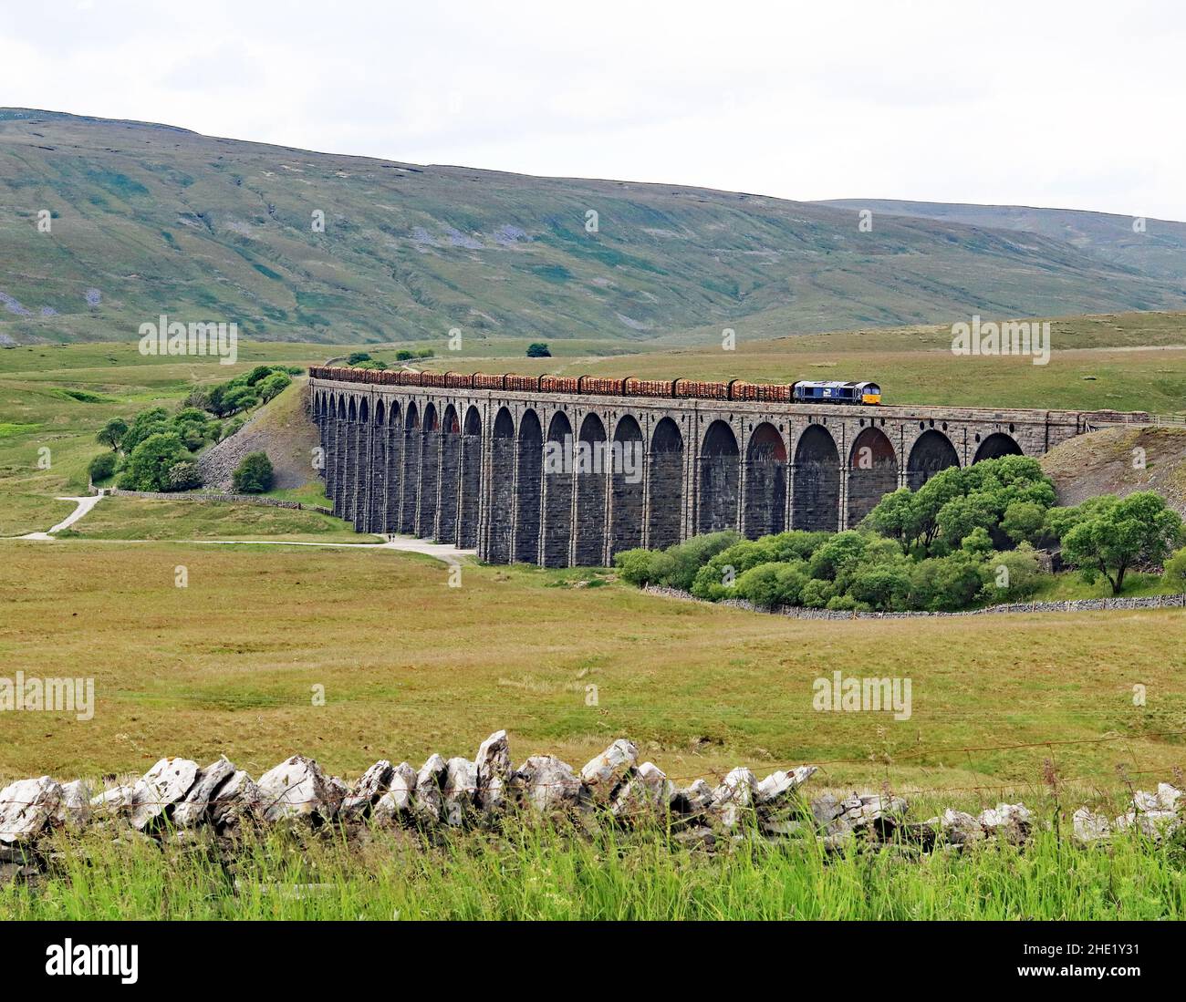 La locomotive diesel DRS n° 66305 traverse le magnifique viaduc de Ribblehead sur le Settle et Carlisle on avec un train de grumes pour Chirk 21,6.2021. Banque D'Images
