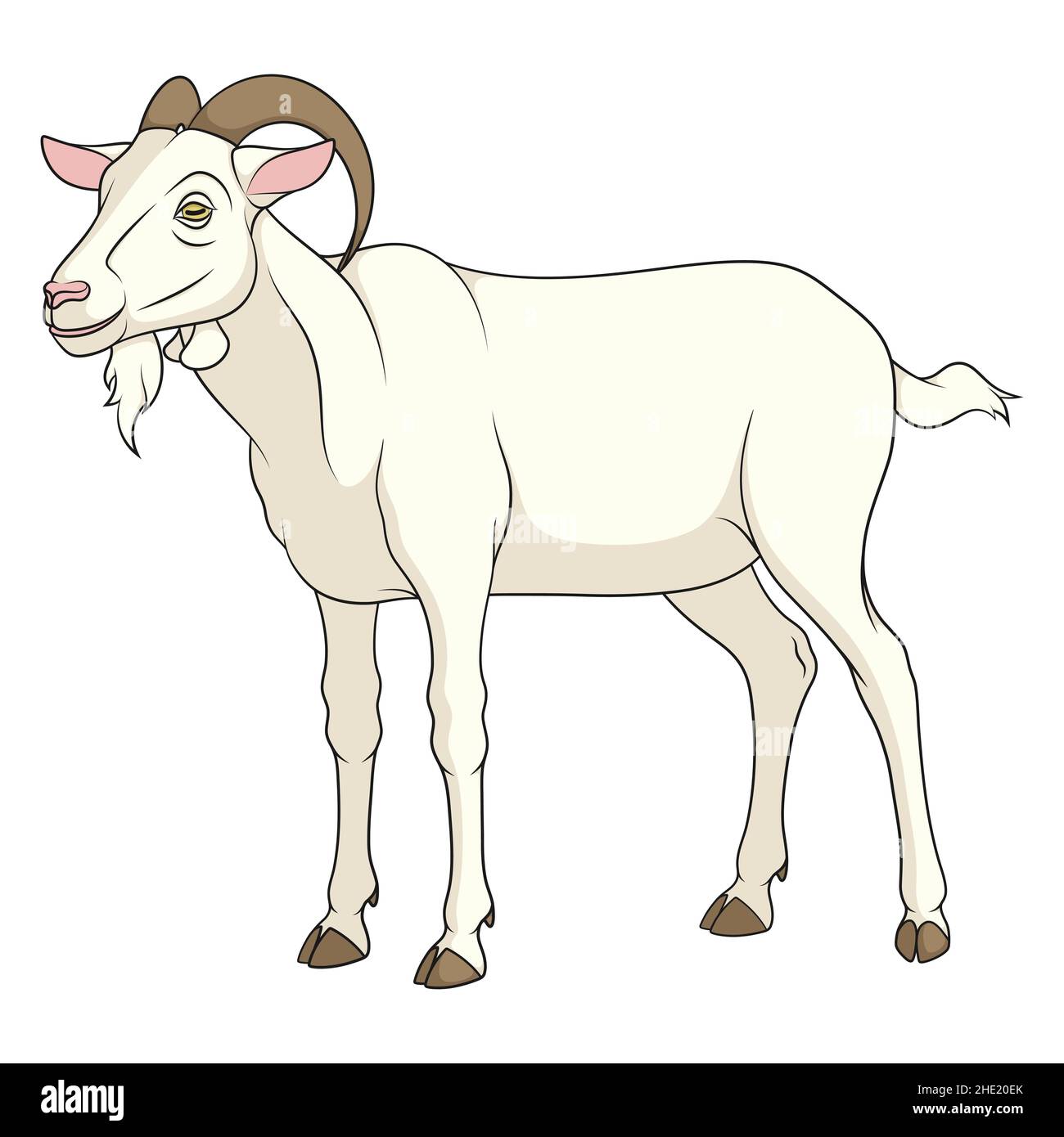Illustration de couleur avec une chèvre.Objet vectoriel isolé sur fond blanc. Illustration de Vecteur