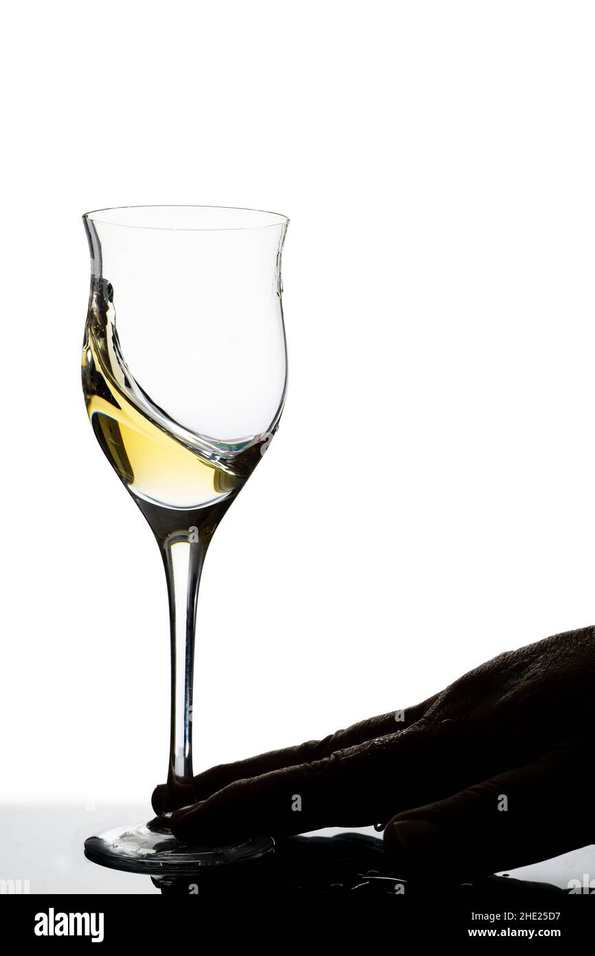 Une main rétro-éclairée d'un homme déplaçant un verre de vin blanc.Arrière-plan blanc.Concept de mouvement, élégance, goût. Banque D'Images