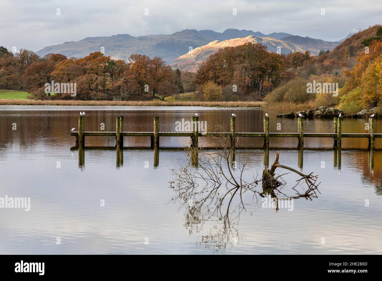 jetée sur windermere avec lumière matinale sur les collines de fond Banque D'Images