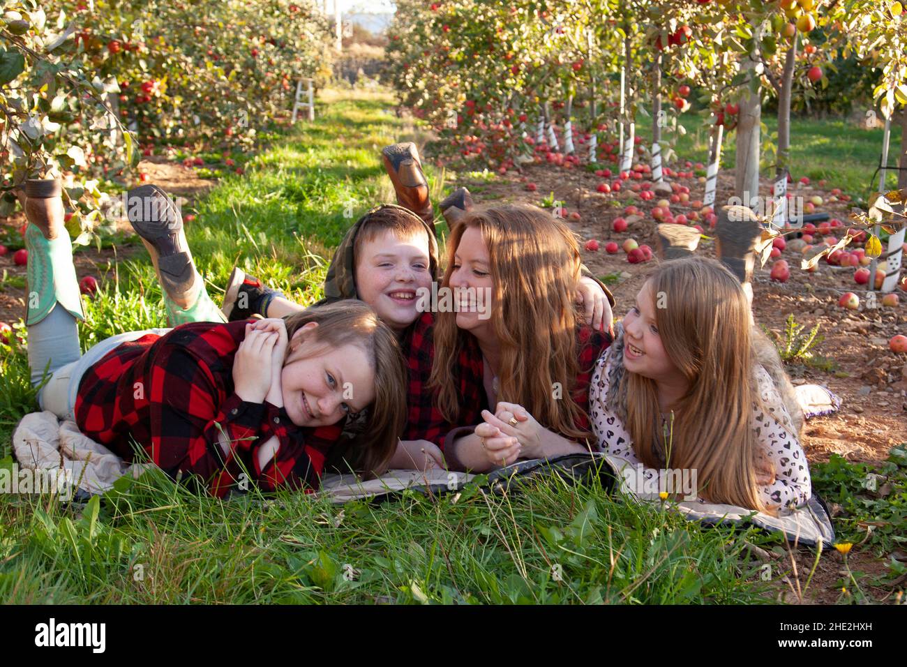 une mère et ses trois enfants rient et se détendent dans un verger de pommes à l'automne Banque D'Images