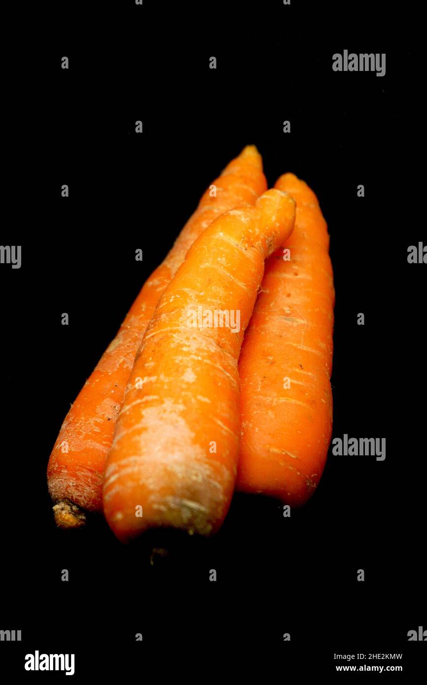 La carotte est un légume de racine, généralement de couleur orange Banque D'Images