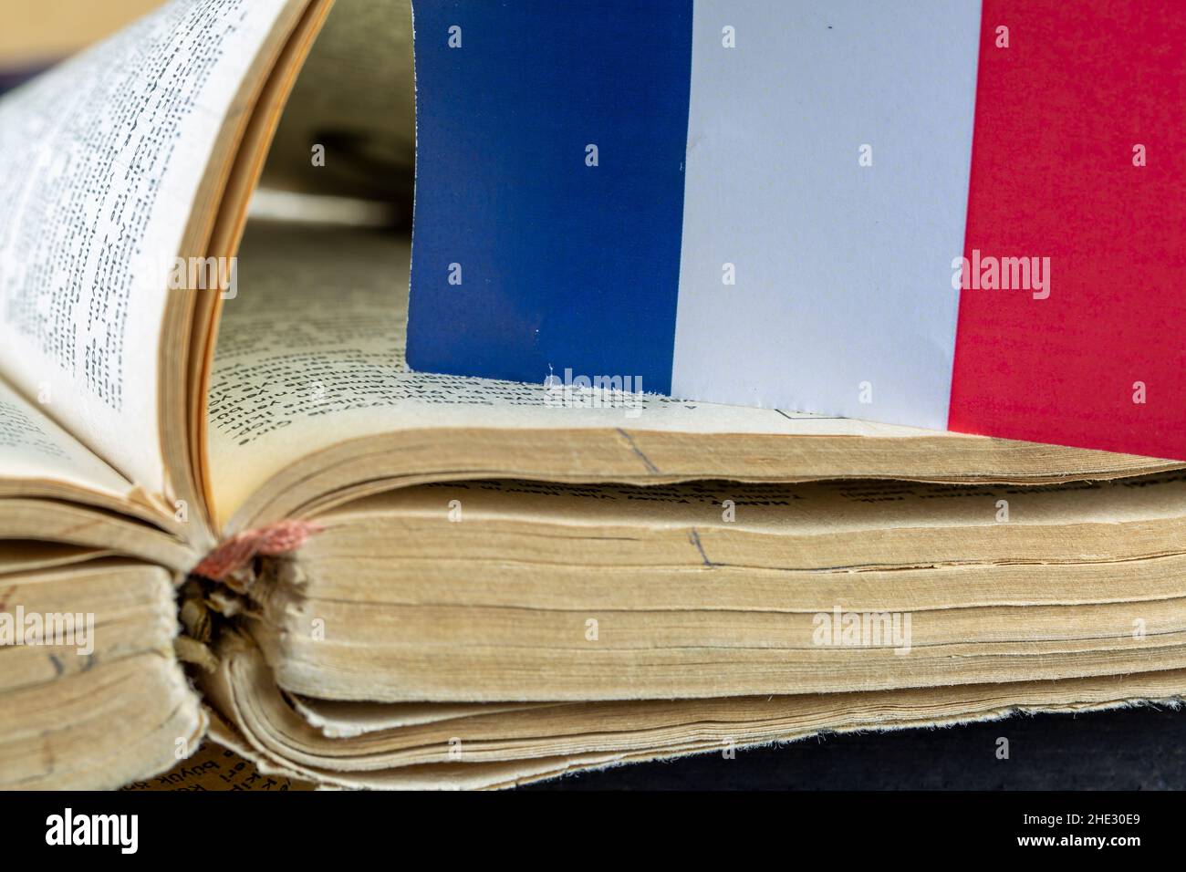 Drapeau de France et livre français Banque D'Images