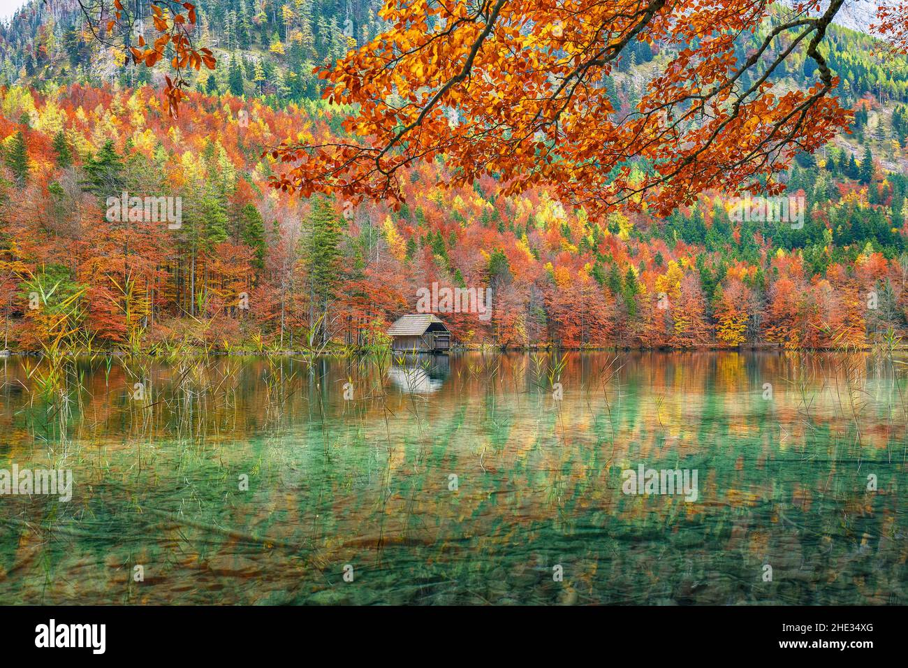 Fabuleuse scène d'automne du lac Hinterer Langbathsee.Destination Poppular travell.Lieu: Vorderer Langbathsee, région de Salzkammergut, haute-Autriche, Banque D'Images