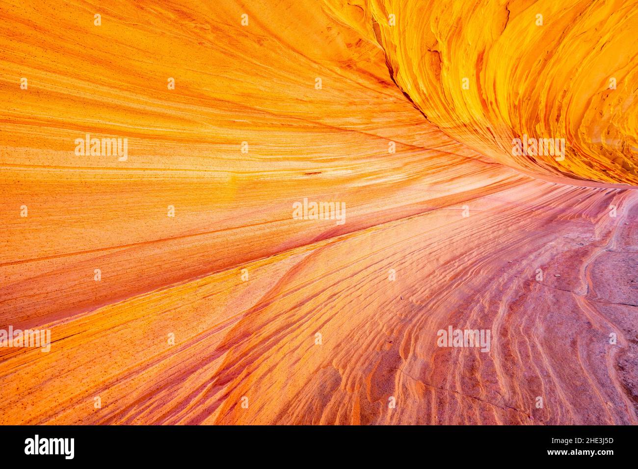 Détail de rayures colorées violettes et or dans une alcôve de roche de grès à South Coyote Buttes Cottonwood Access dans le monument national de Vermilion AZ. Banque D'Images