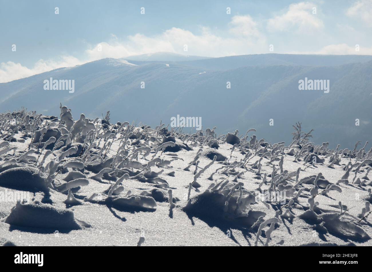 L'hiver dans le parc national de Bieszczady.Vue depuis Połonina Wetlińska sur les montagnes Little Rawka et Big Rawka Banque D'Images