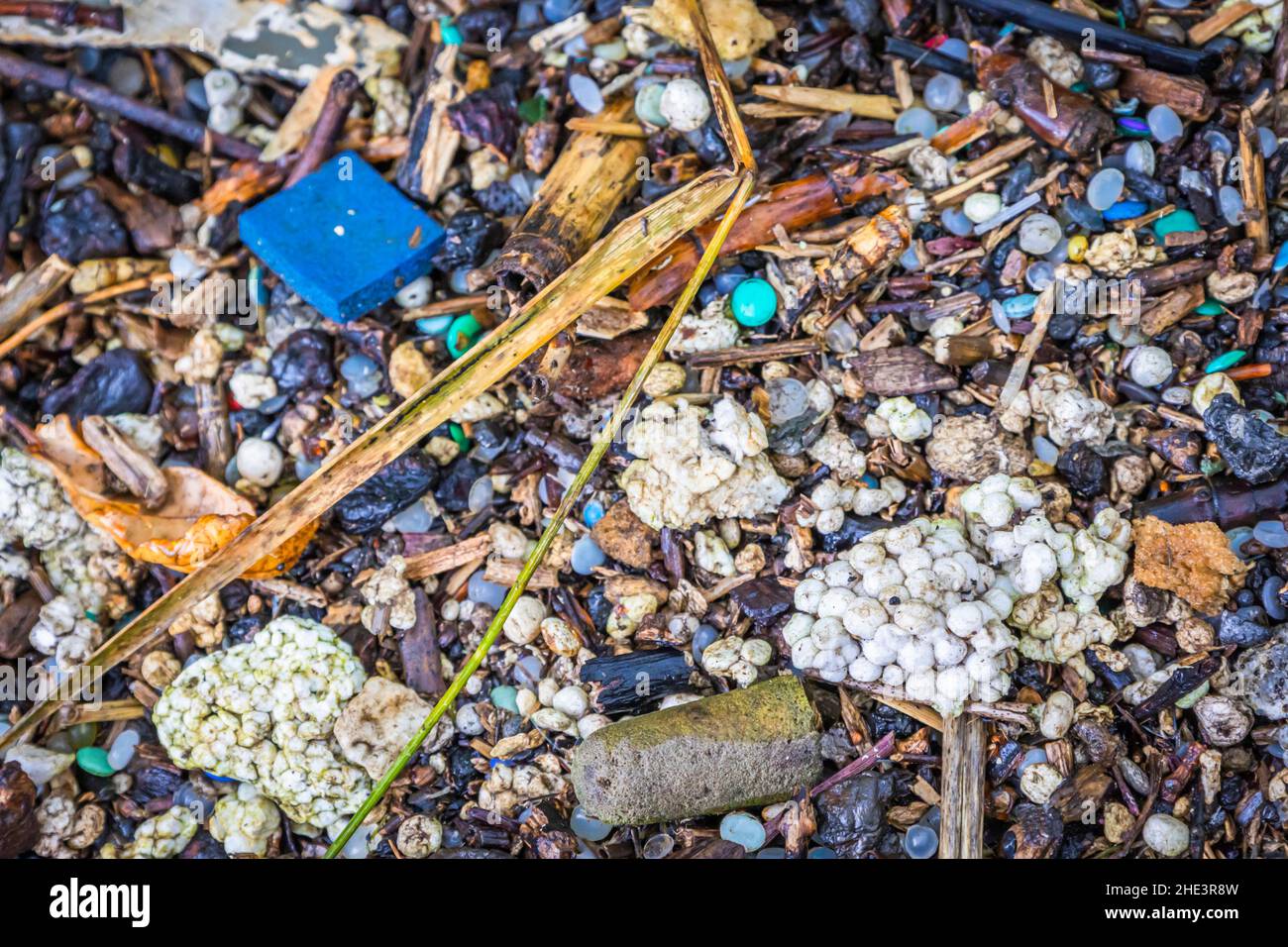 Crise de pollution plastique, dommages environnementaux à la réserve naturelle du Royaume-Uni Banque D'Images