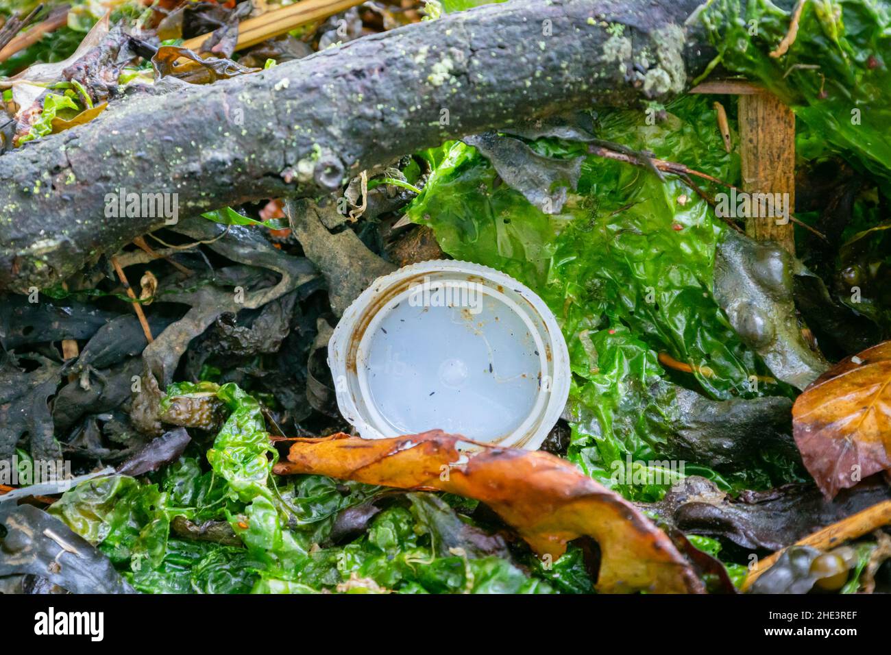 Crise de pollution plastique, dommages environnementaux à la réserve naturelle du Royaume-Uni Banque D'Images