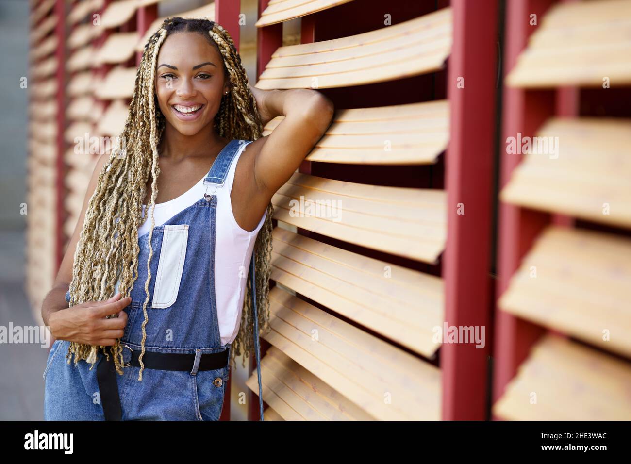 Bonne fille noire avec des tresses de couleur.Style africain typique. Banque D'Images