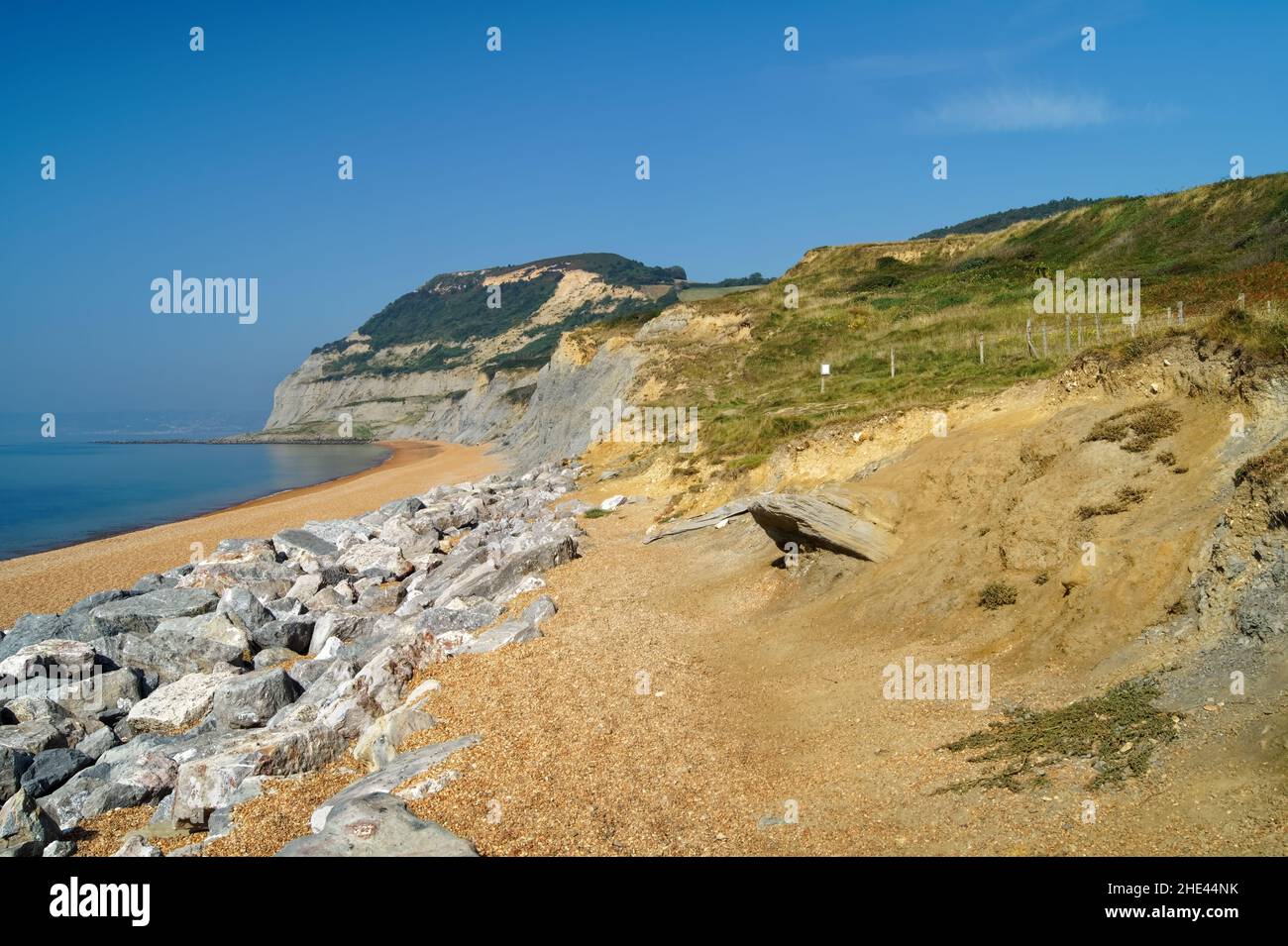 Royaume-Uni, Dorset, Seatown Beach, South West Coast Path et Golden Cap Banque D'Images