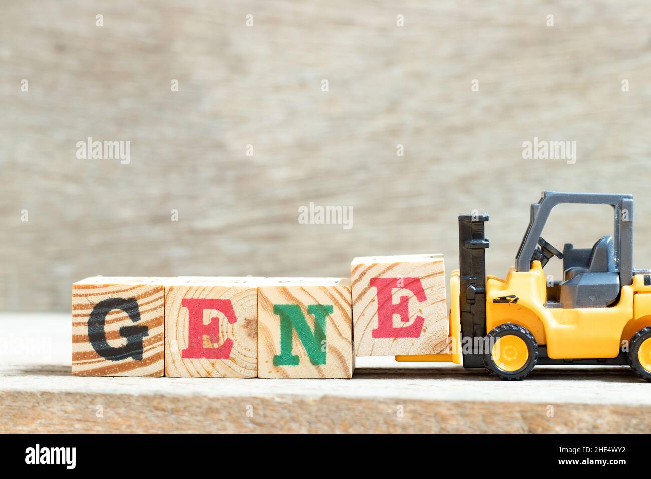 Le chariot élévateur à jouets tient le bloc de lettres e pour compléter le mot Gene sur fond de bois Banque D'Images