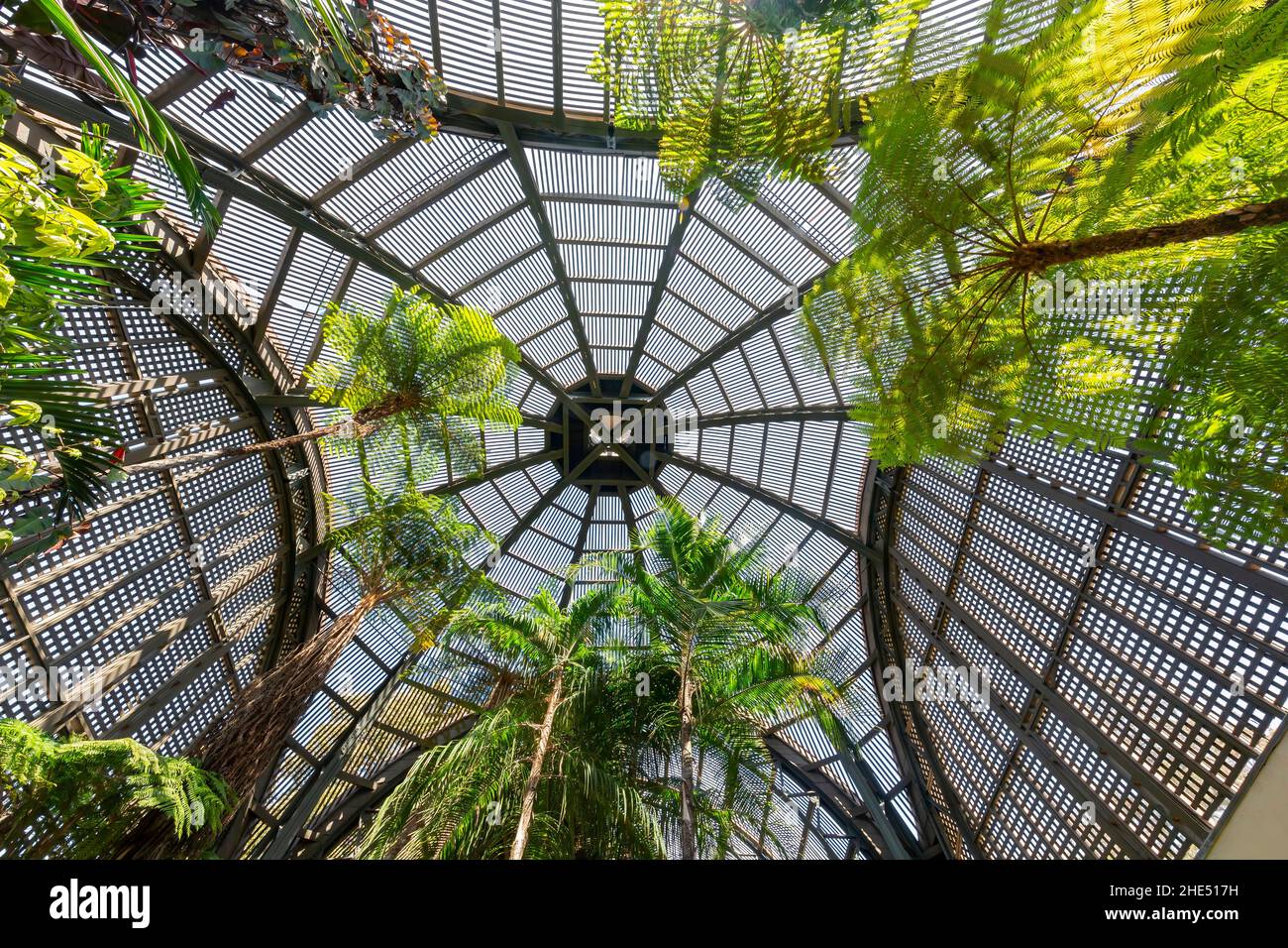 Vue intérieure de la maison verte dans le Balboa Park Botanical Building à San Diego, Californie Banque D'Images