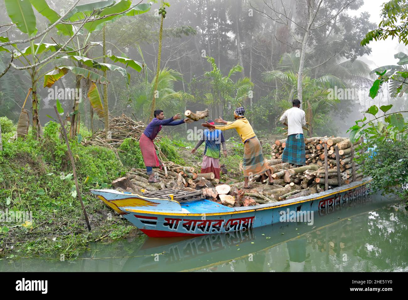 Travailleurs chargement de grumes en bateau - Bangladesh Banque D'Images