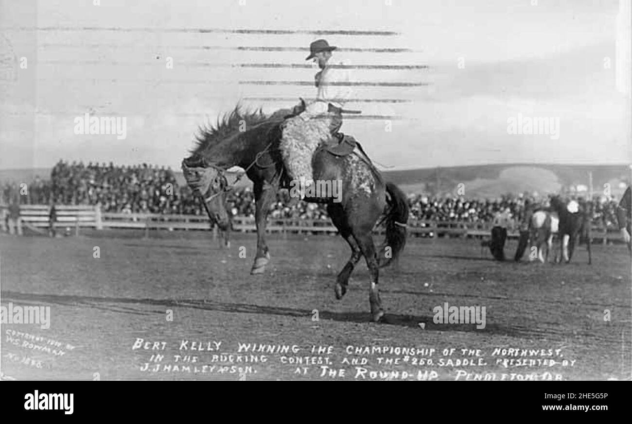 Bert Kelly, pilote de selle en bronze, sur un cheval bandés lors du Round-Up à Pendleton, Oregon, 1910 (AL+CA 1819). Banque D'Images