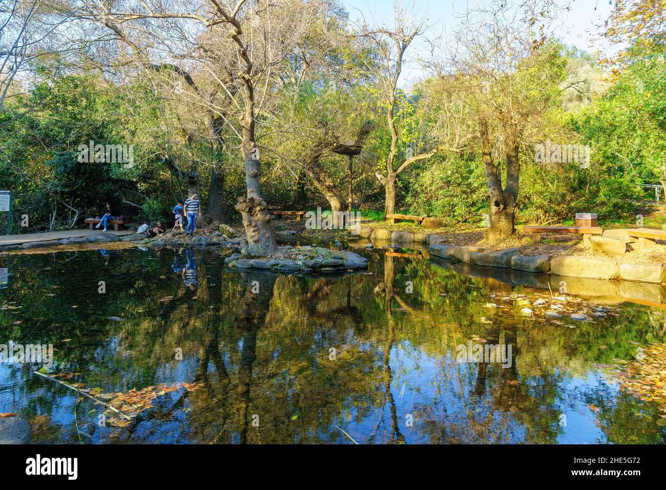 DaN, Israël - 06 janvier 2022 : vue sur les pataugeoires entre les arbres, avec les visiteurs, dans la réserve naturelle de tel Dan, dans le nord d'Israël Banque D'Images