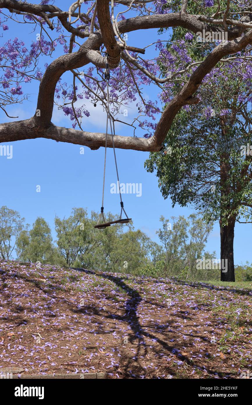 Balançoire suspendue à un arbre Banque de photographies et d'images à haute  résolution - Alamy