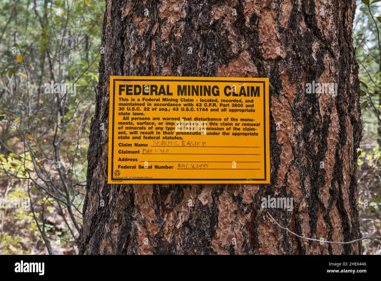 Panneau de revendication minière, sénateur Highway 52, chemin de fond dans les montagnes Bradshaw, Prescott National Forest, Arizona, États-Unis Banque D'Images