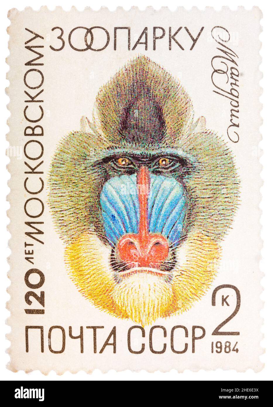 Le timbre postal imprimé en URSS montre un Mandrill, série 120 anniversaire du Zoo de Moscou Banque D'Images