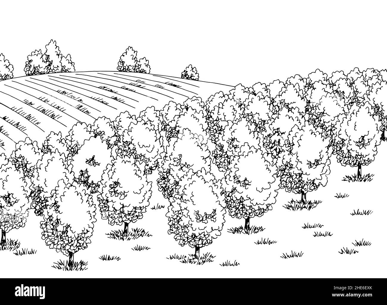 Fruit Garden graphique noir blanc paysage dessin illustration vecteur Illustration de Vecteur