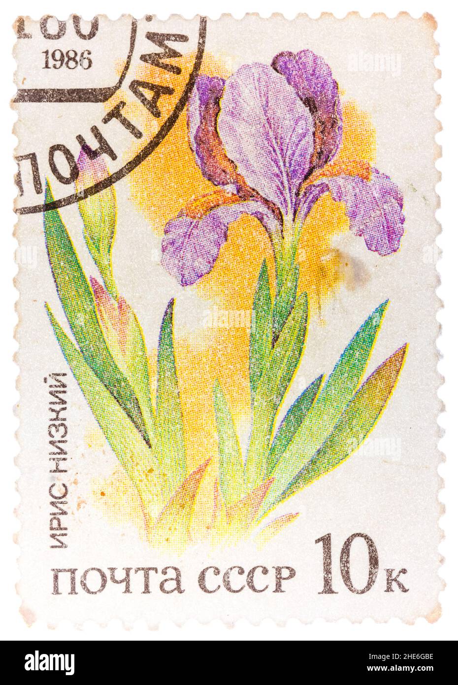 Le timbre imprimé en URSS à partir du numéro « plantes des steppes russes » montre Iris Banque D'Images