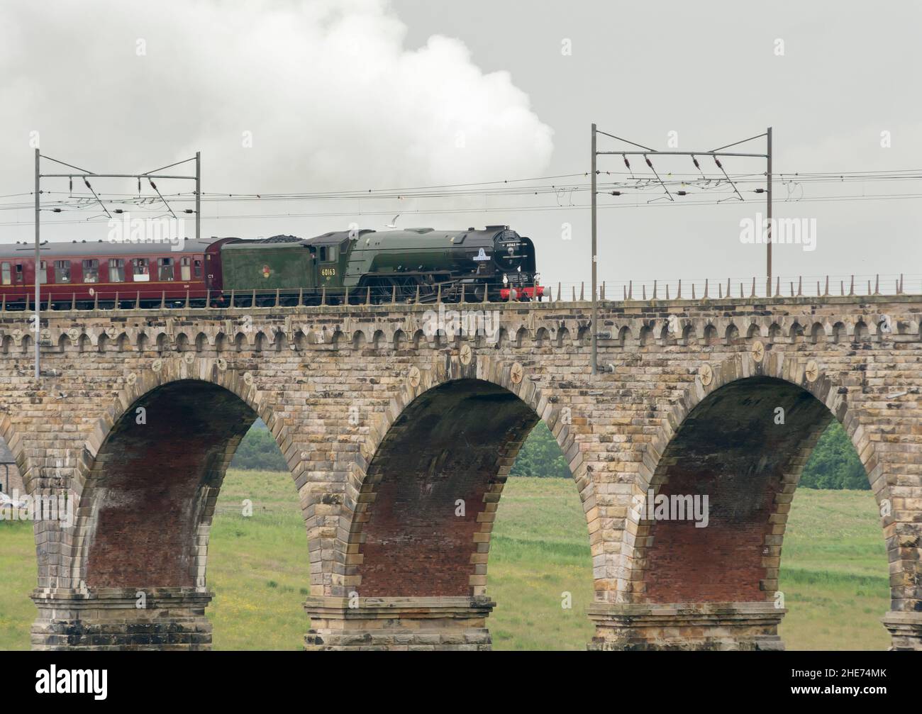 La machine à vapeur Tornado de classe A1 et les voitures anciennes se déplacent au-dessus du viaduc ferroviaire construit par Robert Stevenson à Berwick-upon-Tweed Banque D'Images