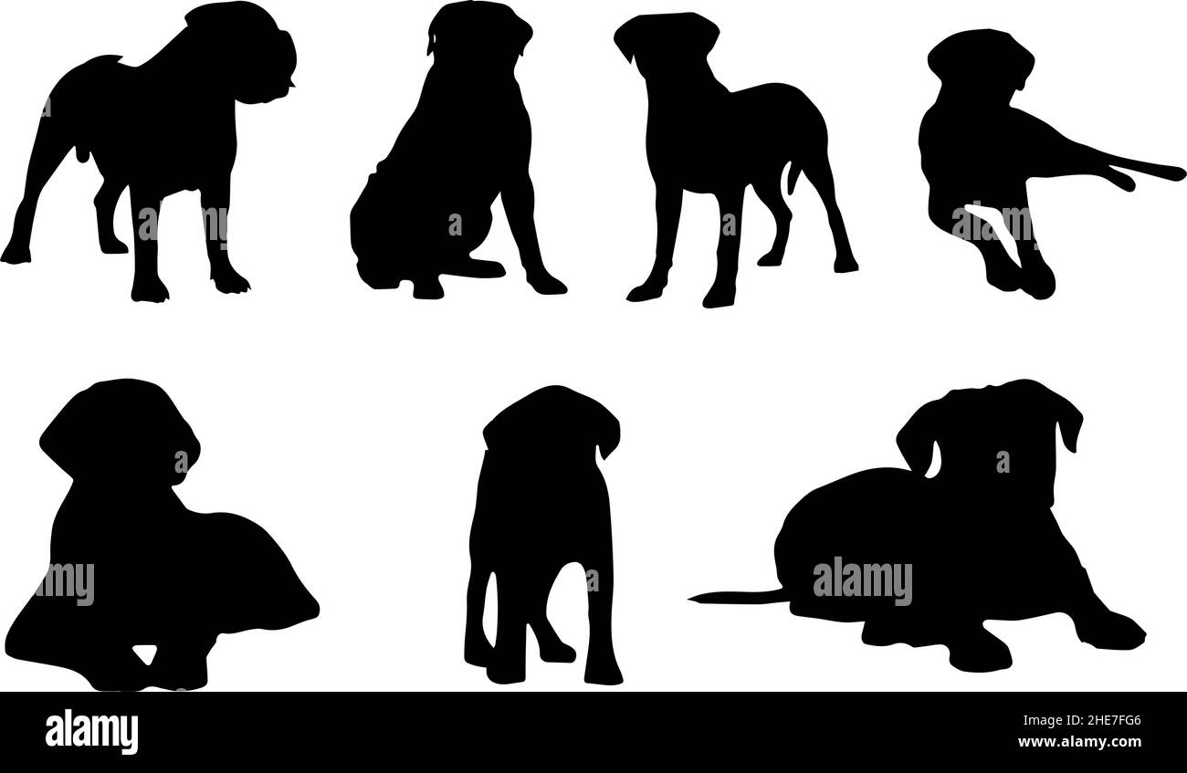 ensemble de silhouette de chien mastiff svg Illustration de Vecteur