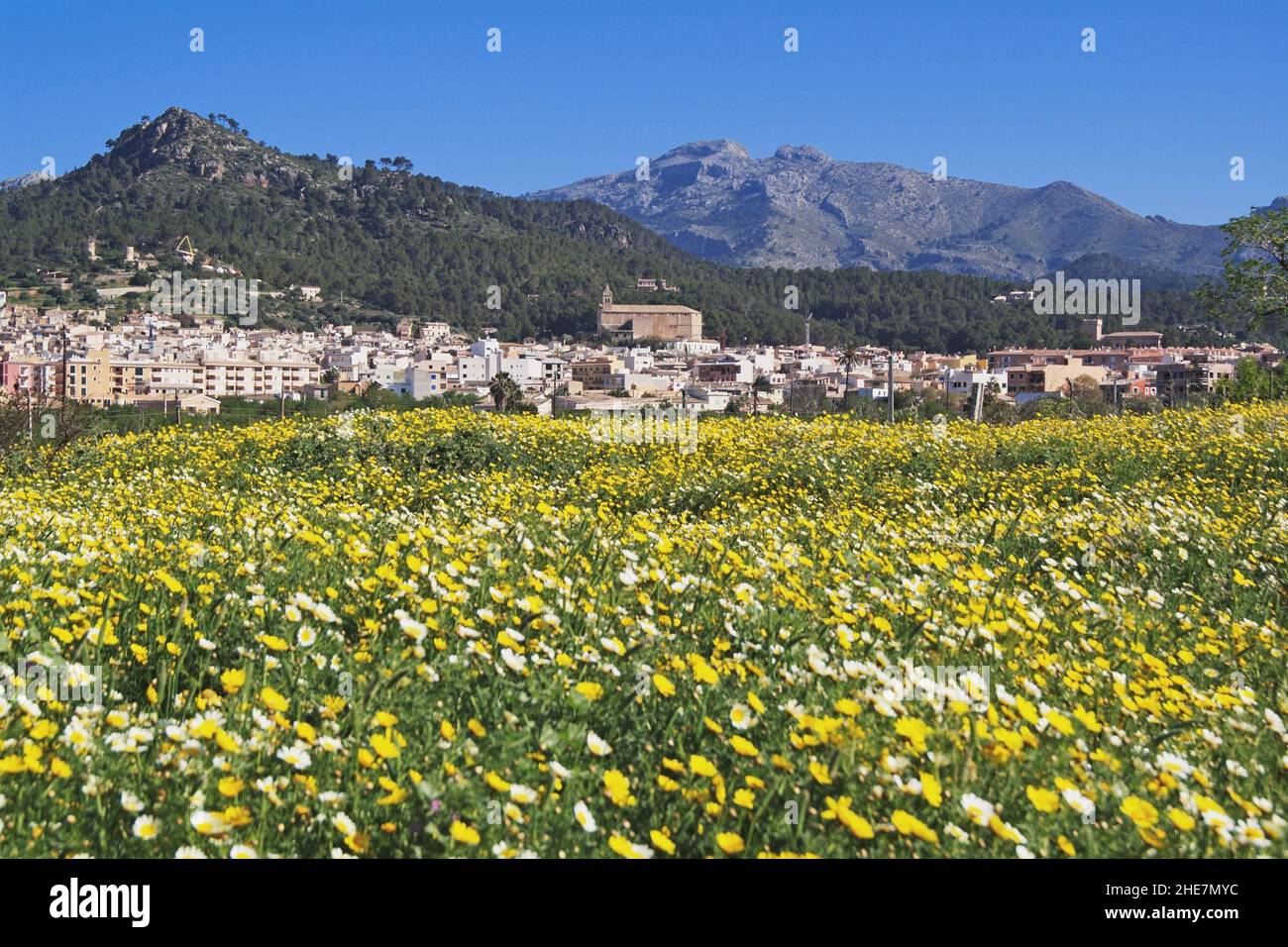Blick auf Andratx, Mallorca, Balearia, Spanien, Europa | vue sur Andratx, Mallorca, Iles Baléares, Espagne, Europe Banque D'Images