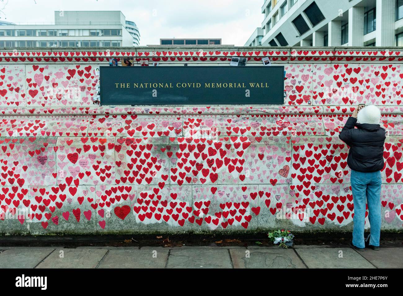 Londres, Royaume-Uni.9 janvier 2022.Une femme voit le mur commémoratif national de Covid où chaque cœur peint représente quelqu'un qui est décédé en raison de la pandémie du coronavirus.Le Royaume-Uni vient de passer 150 000 morts enregistrées.Credit: Stephen Chung / Alamy Live News Banque D'Images