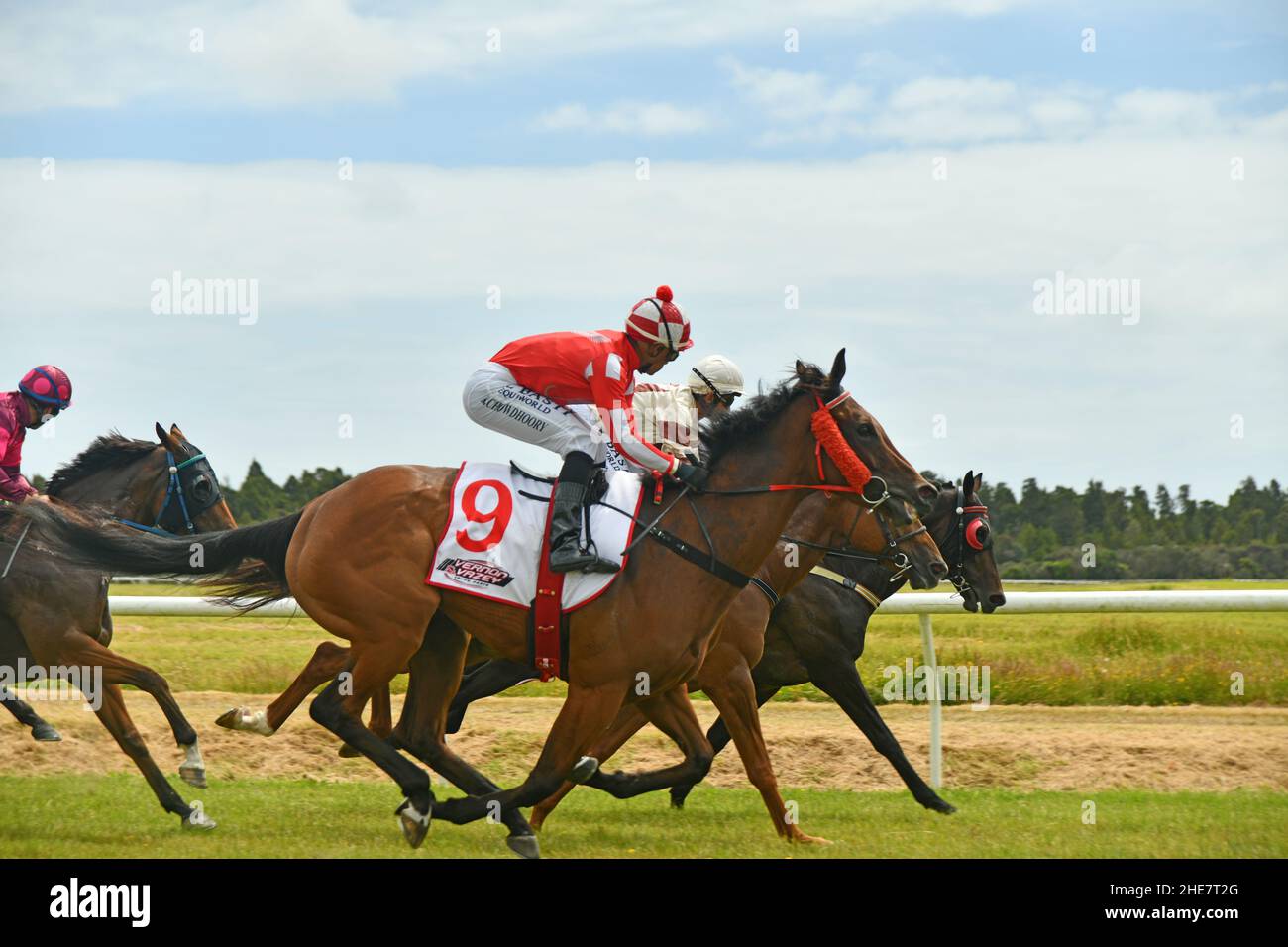 KUMARA, NOUVELLE-ZÉLANDE, 8 JANVIER 2022 ; les jockeys montent dur à la ligne d'arrivée dans une course à la compétition Golden Nuggets à l'hippodrome de Kumara, 8 janvier 2022 . Banque D'Images