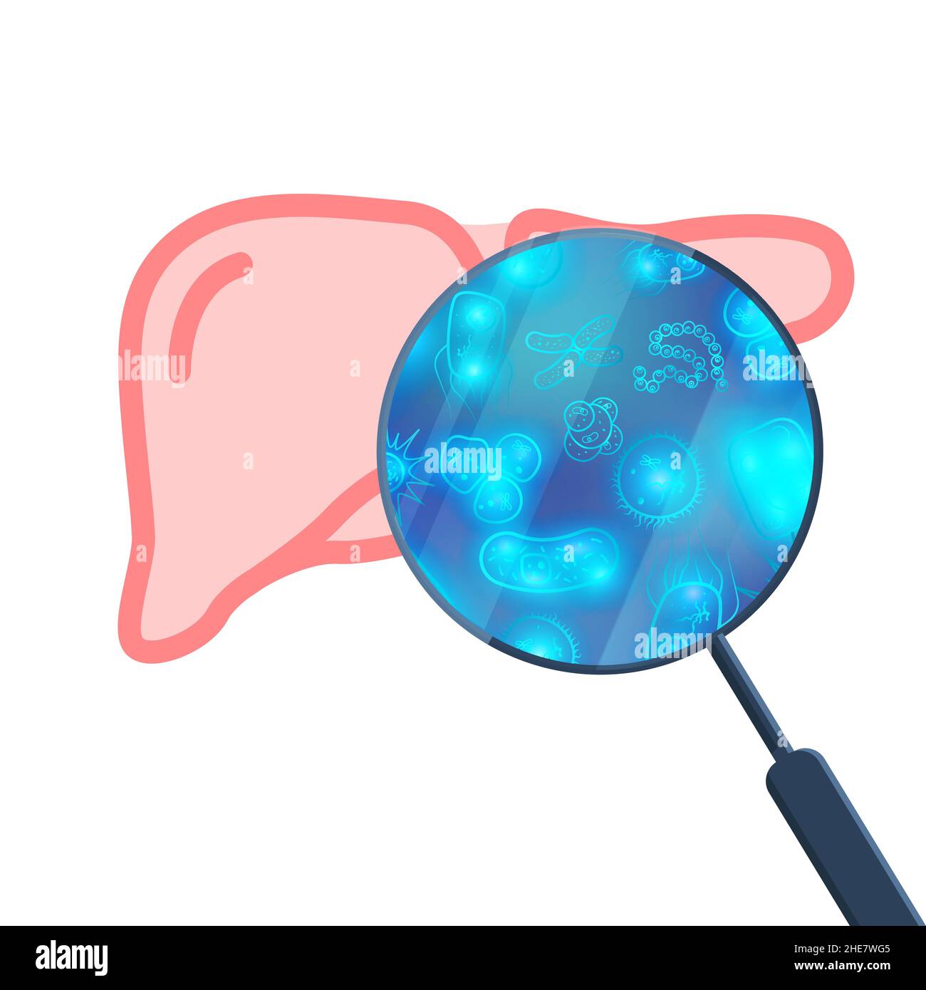 Beaucoup de bactéries et de virus dans le foie humain sous loupe blanche Illustration de Vecteur