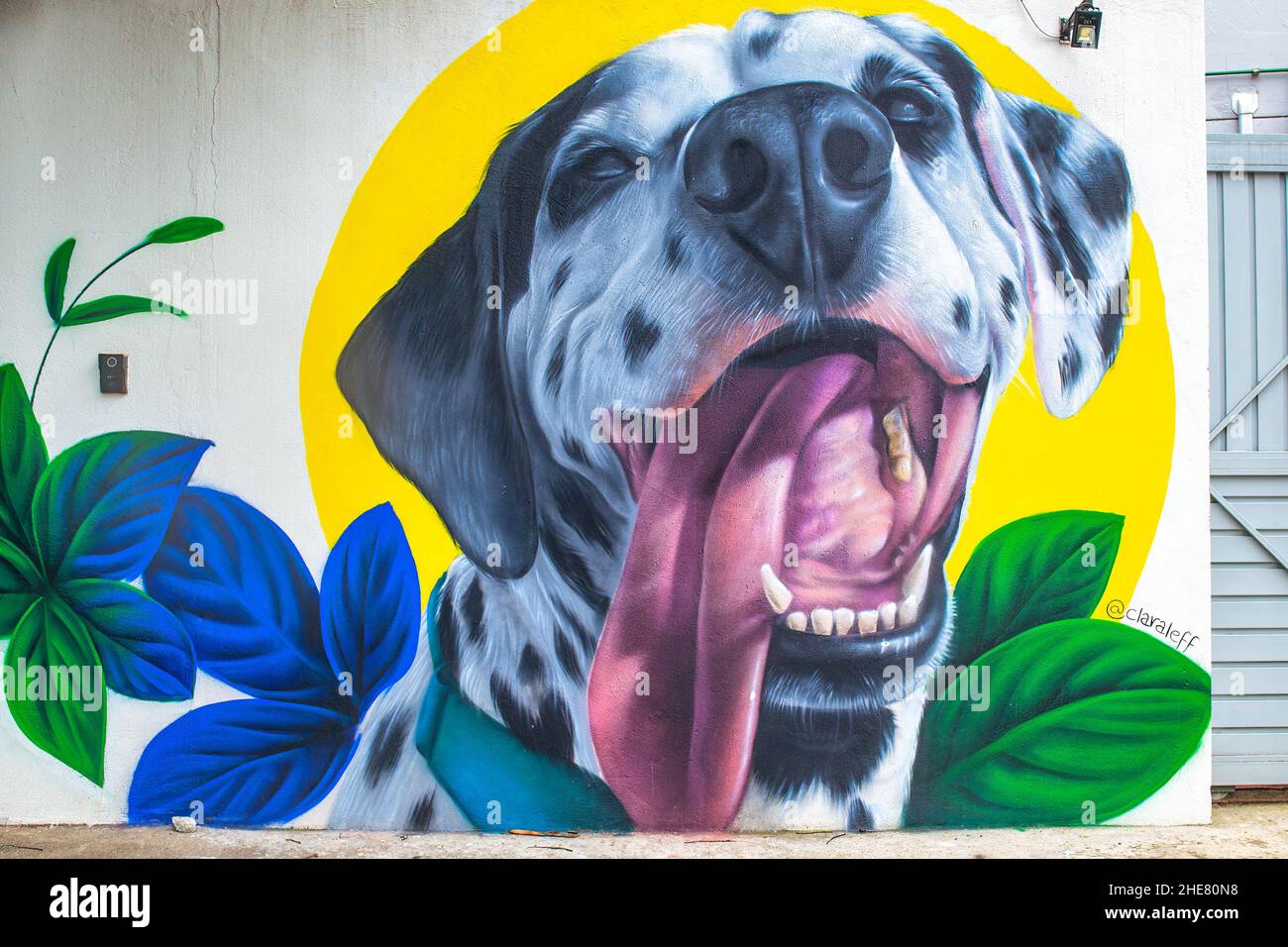 Peinture d'art urbain dans des couleurs vives vues dans la Batman Alley.Le Beco de Batman est un lieu célèbre et une attraction touristique majeure de la ville. jan Banque D'Images