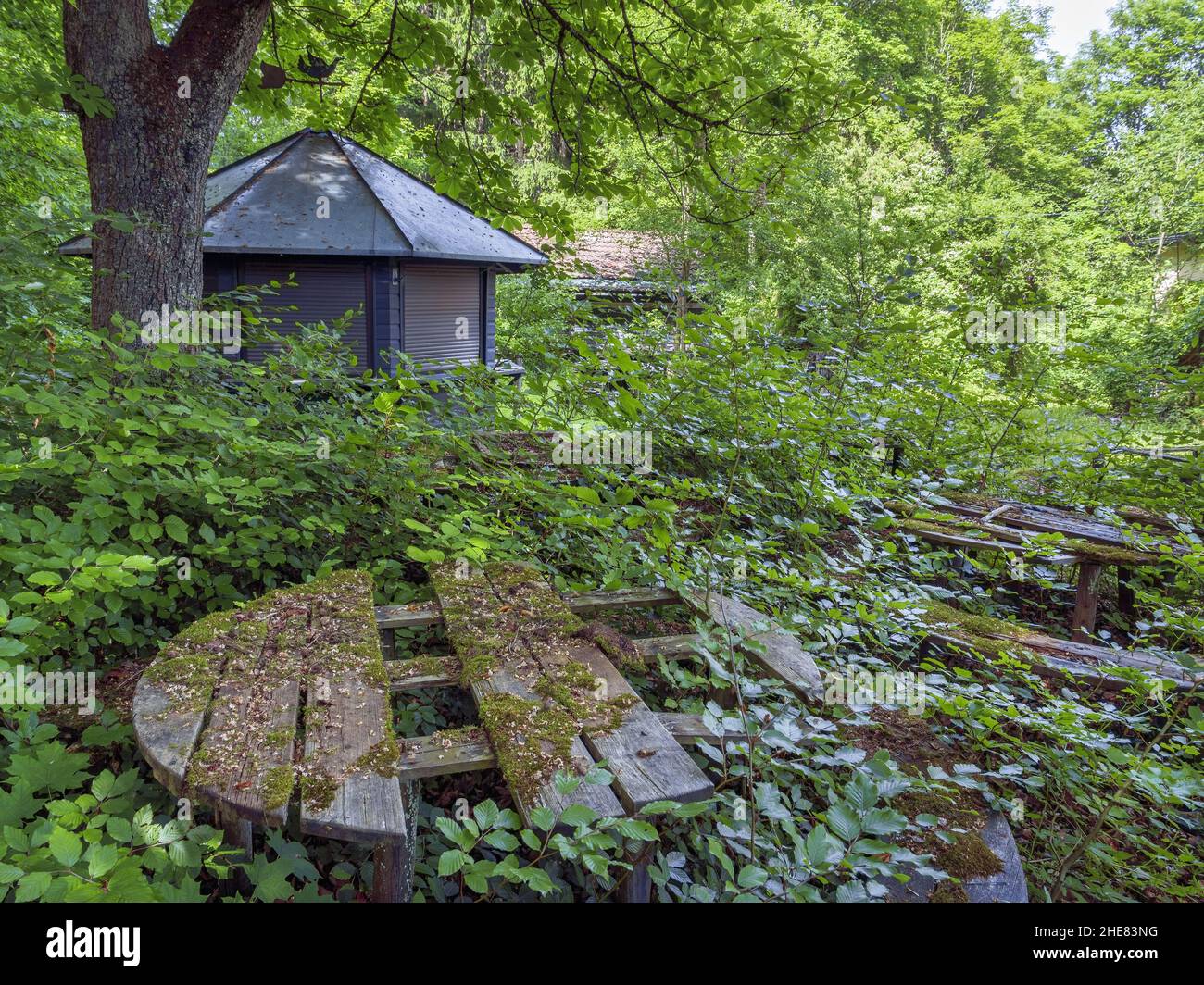 Jardin de bière surcultivé, Obermuehltal, Bavière, Allemagne Banque D'Images