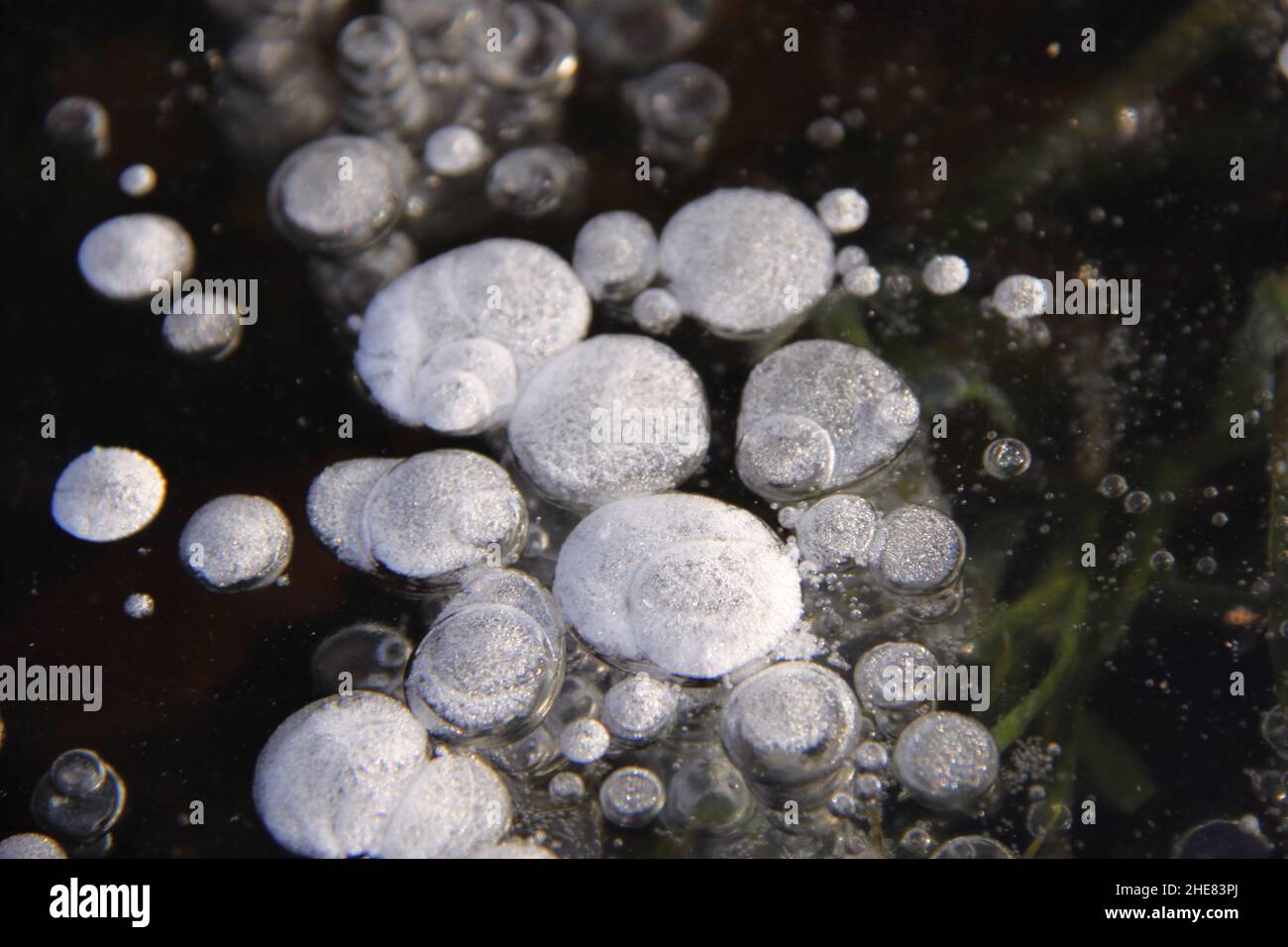 Bulles d'air congelées dans la glace sur un fossé. Banque D'Images