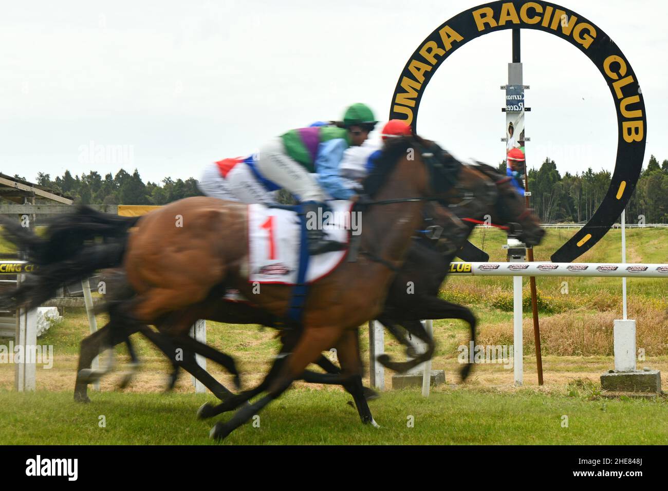 KUMARA, NOUVELLE-ZÉLANDE, 8 JANVIER 2022 ; les jockeys montent dur à la ligne d'arrivée dans une course à la compétition Golden Nuggets à l'hippodrome de Kumara, 8 janvier 2022 . Banque D'Images