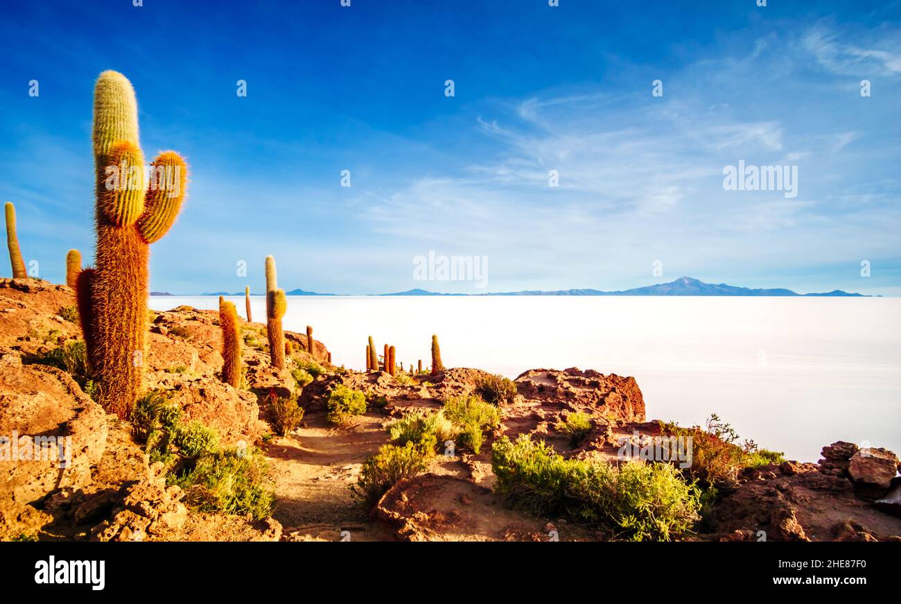 Vue sur le lever du soleil sur le lac de sel de l'île incahuasi par Uyuni en Bolivie Banque D'Images