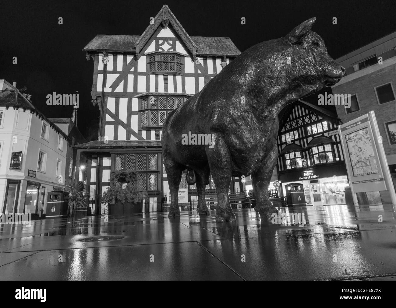 Vue nocturne de la statue de Hereford Bull située en face de l'ancienne Maison Hereford, Herefordshire, Royaume-Uni.Décembre 2021. Banque D'Images