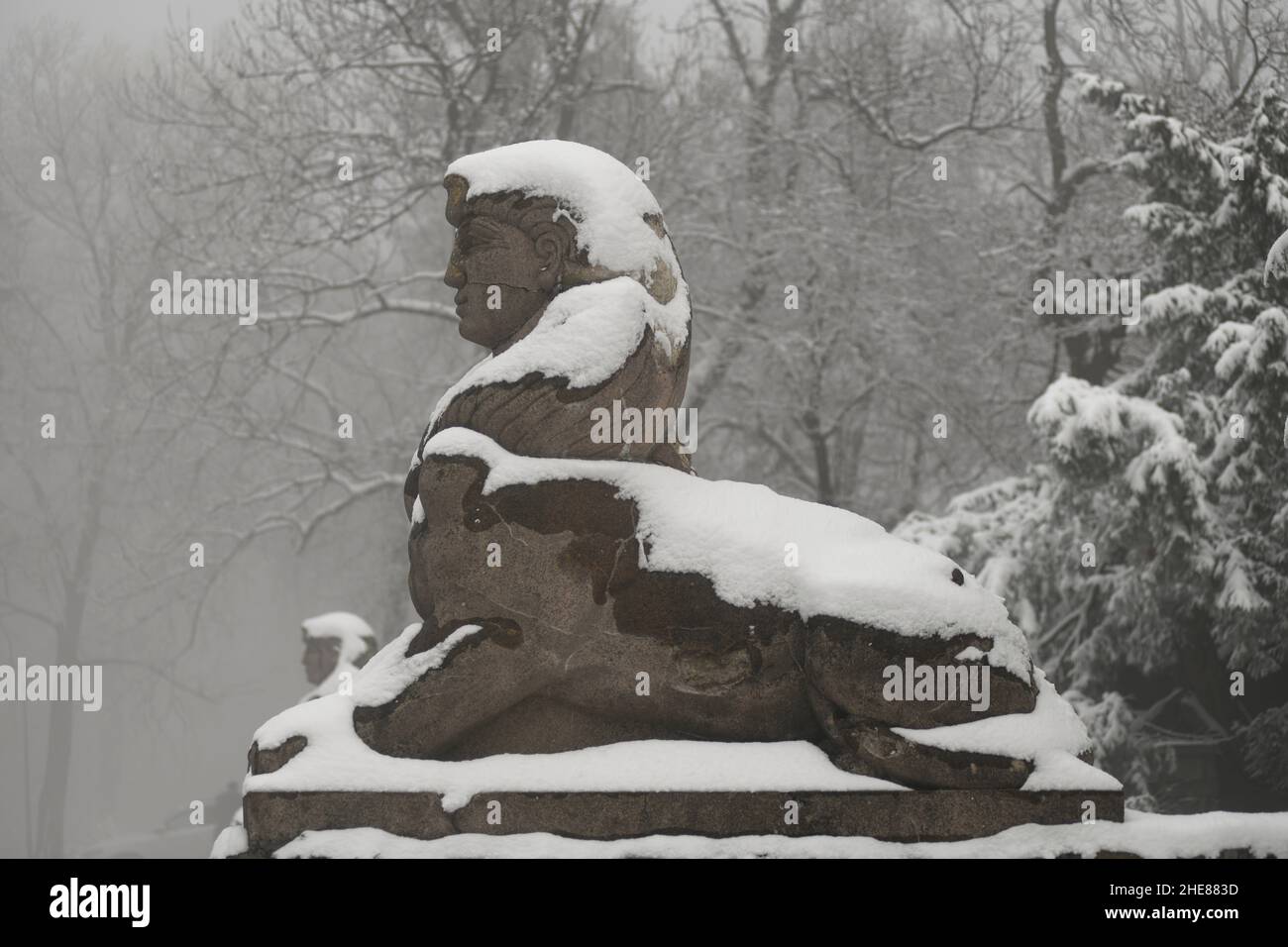 Hiver en Serbie : neige dans la montagne Avala, Belgrade Banque D'Images