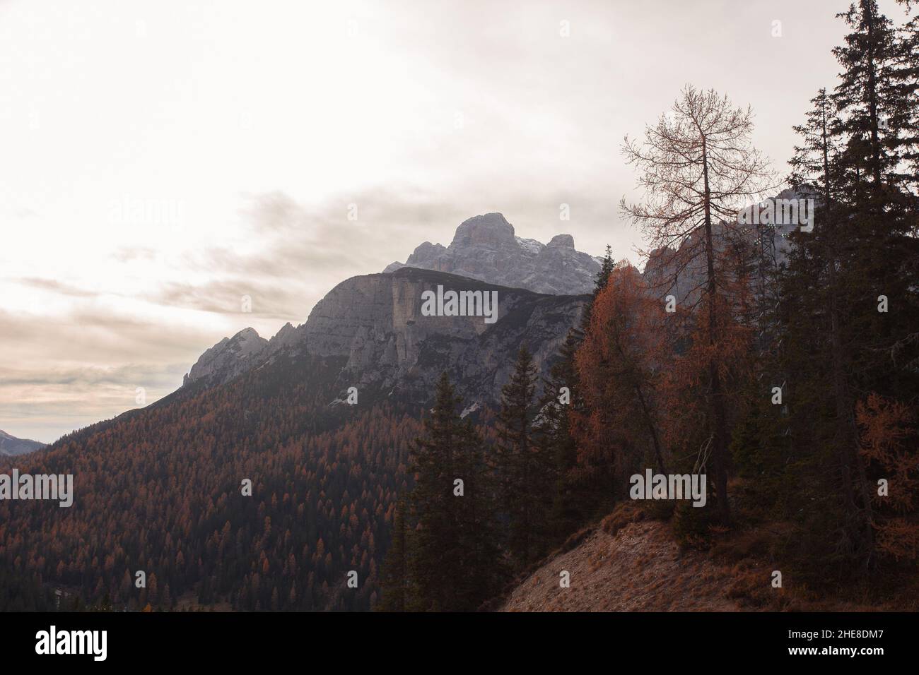 Paysage automnal saisonnier dans les Dolomites Banque D'Images