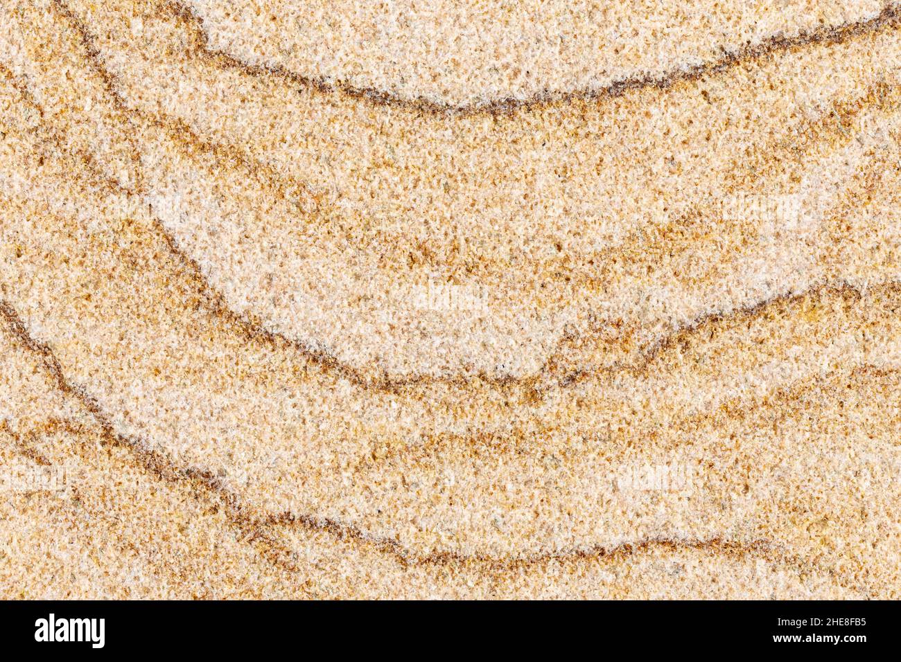 Vue de détail macro de la dalle de grès coupée. Banque D'Images
