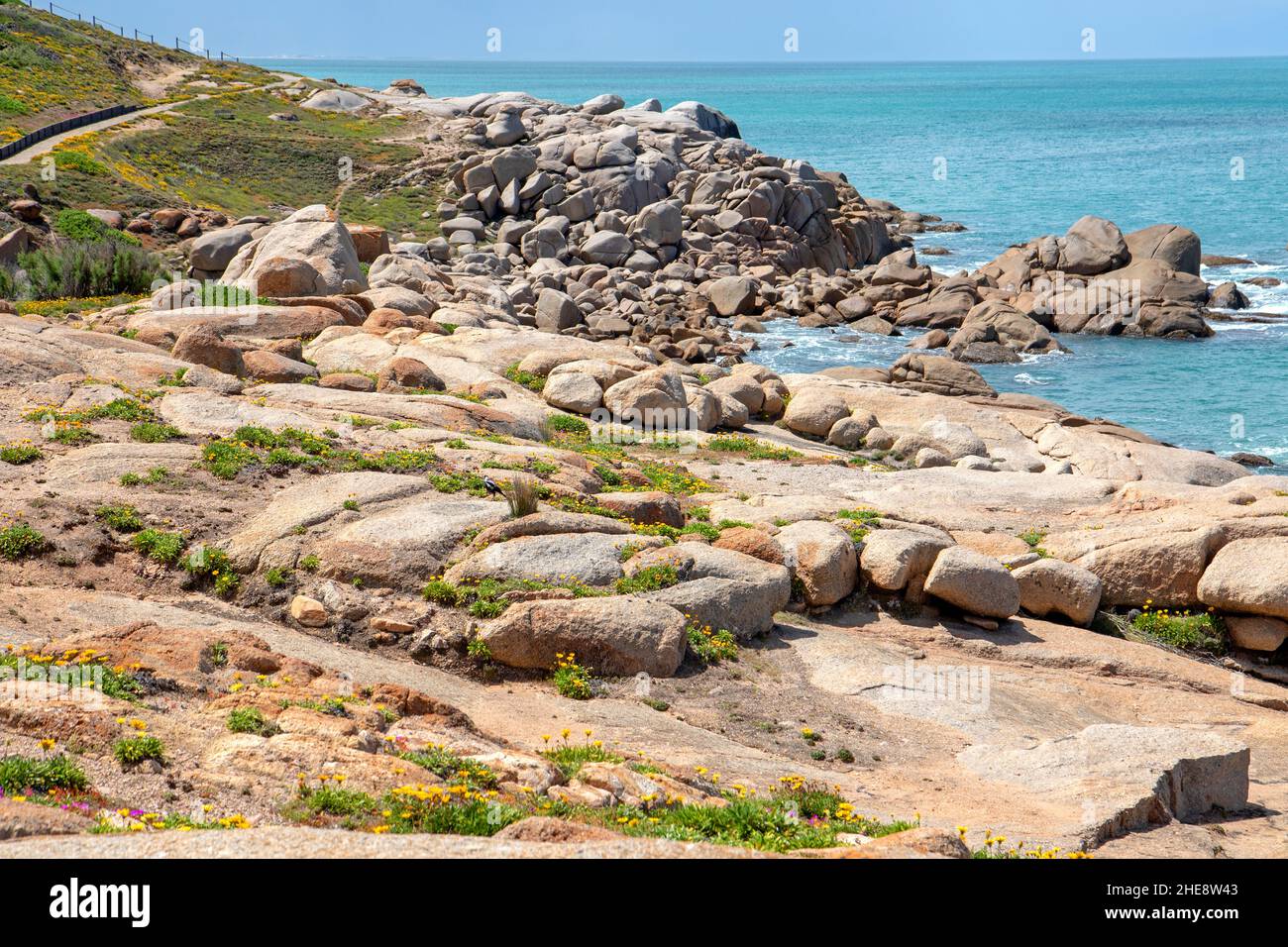 Côte sauvage à Port Elliot Banque D'Images
