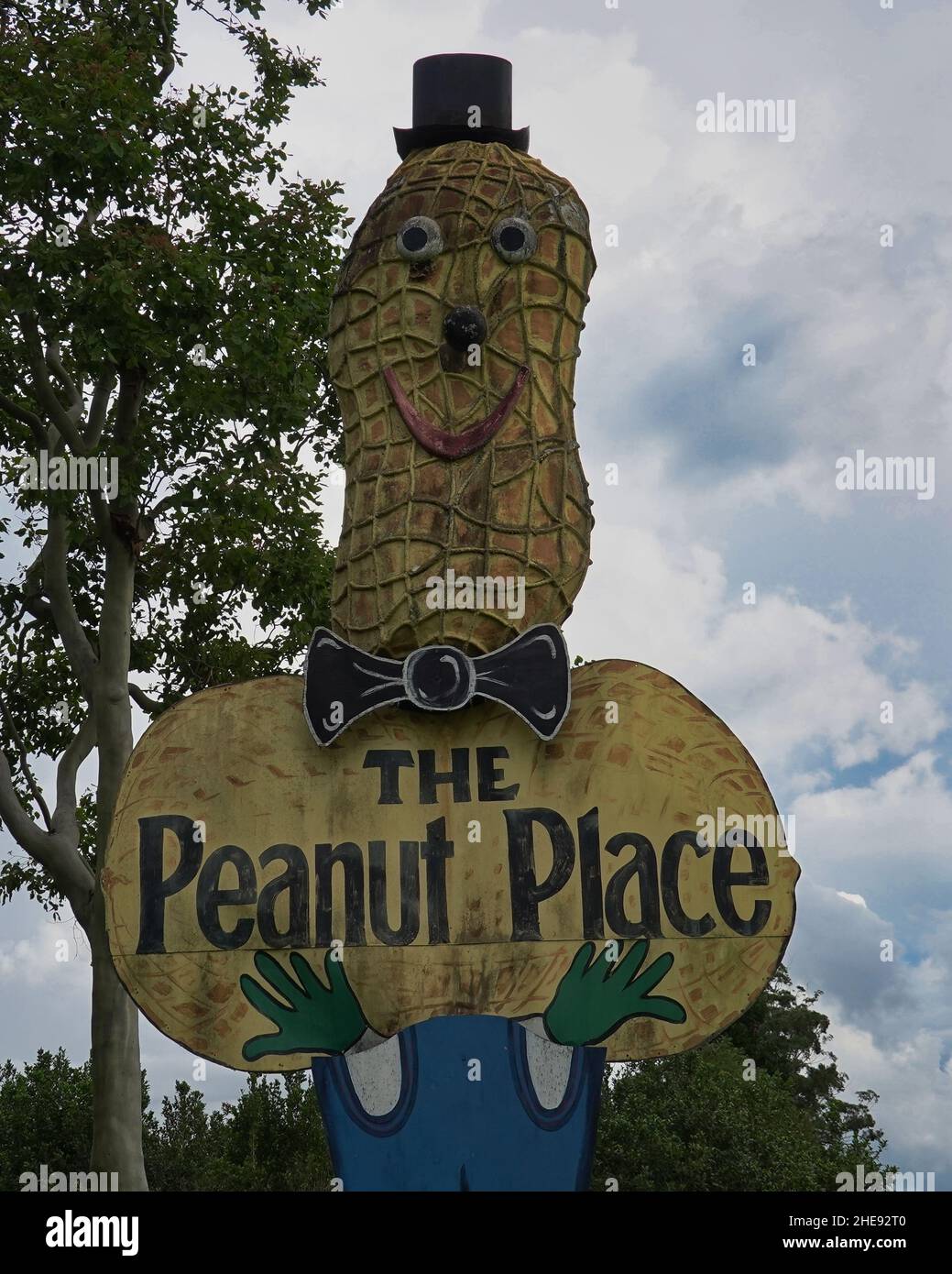 Le Big Peanut à Tolga, Atherton Tablelands Banque D'Images